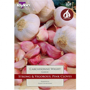 Garlic Carcassonne Wight Pre-pack